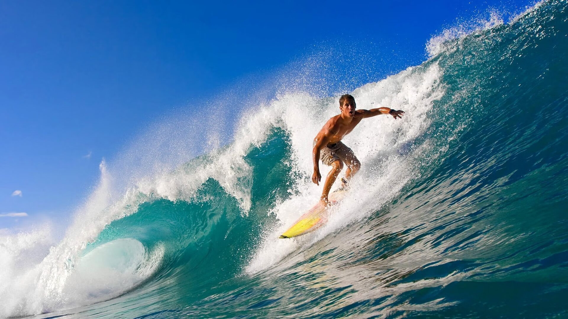 _全民运动日：开启健康生活新篇章_，全民健康运动活动方案