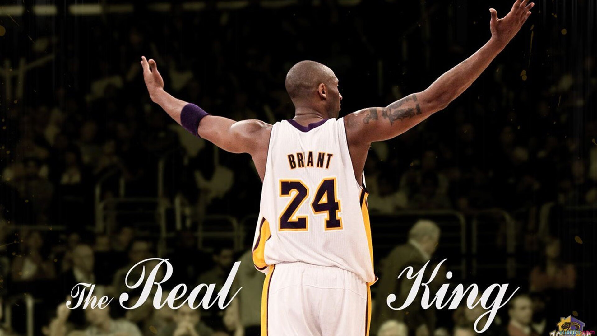 史上最绚丽“冠军庆典”，荣耀时刻永难忘怀，冠军庆祝动作